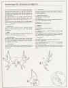 VERDERING_AV_ALGNORN_1.JPG (147460 byte)
